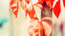 Detachering in de zorg